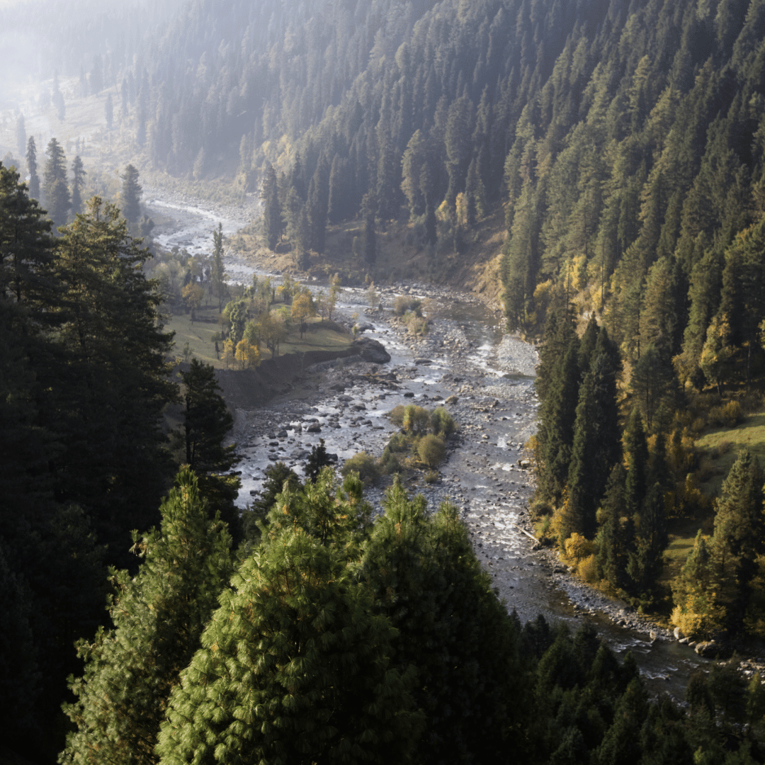 Kashmir